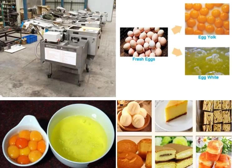 Egg shell breaking separating machine