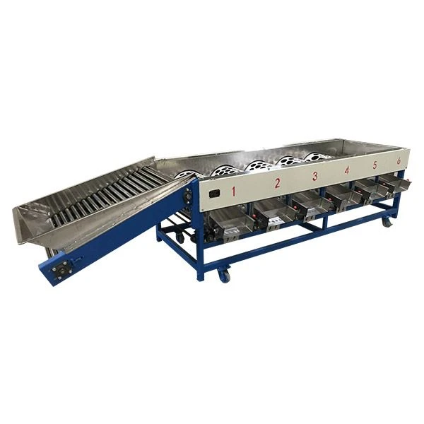 Tomato Size Sorting Machine
