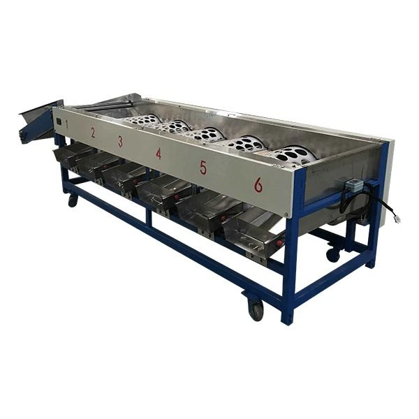 Tomato Size Sorting Machine