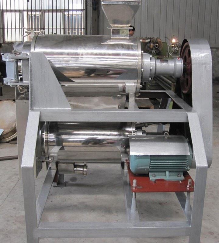 Double Channel Fruit Beating Machine