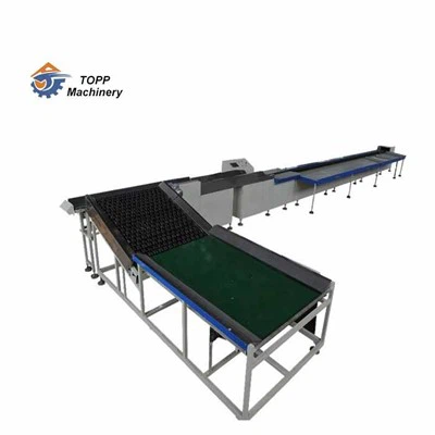 Машина за сортиране на ябълково авокадо