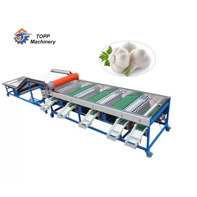 Машина за сортиране на размера на чесън и лук