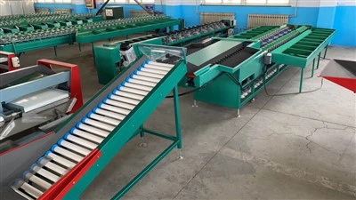 Двуредова машина за сортиране на плодове от авокадо по тегло