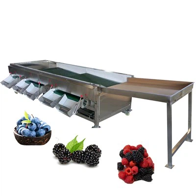 Машина за сортиране на пресни боровинки